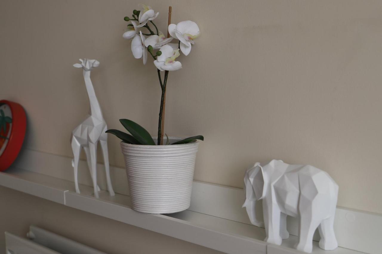 Birmingham Fiveways Garden View Apartment Екстер'єр фото